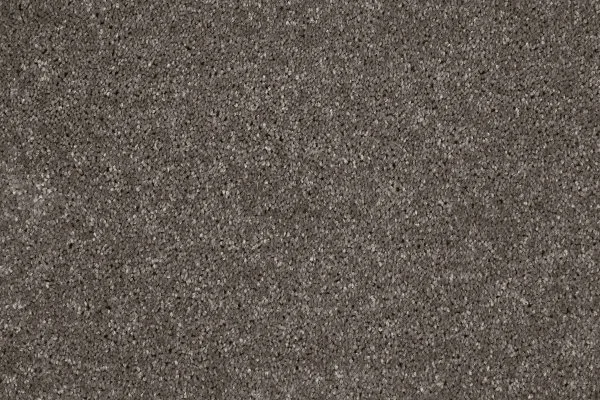 Ковровое покрытие AW Gala 49 - (4м) в Барнауле