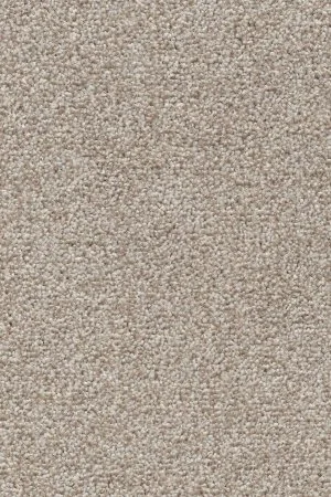 Ковровое покрытие AW Stainguard Harvest 04 - (4м) в Барнауле