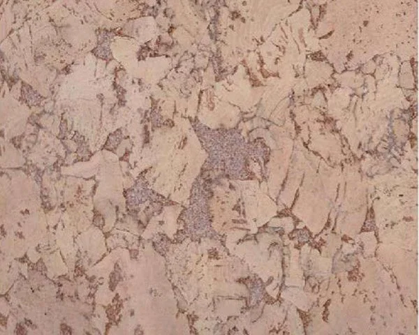 Настенное пробковое покрытие CorkArt PW 324 NK в Барнауле