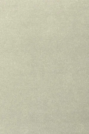 Ковровое покрытие AW Oinone 02 - (4м) в Барнауле