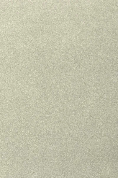 Ковровое покрытие AW Oinone 02 - (4м) в Барнауле