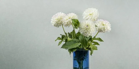 Обои Loymina Shade vol.2 SDR5, 001 в Барнауле