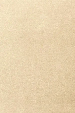 Ковровое покрытие AW Oinone 33 - (4м) в Барнауле