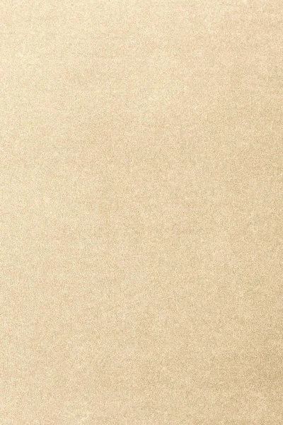 Ковровое покрытие AW Oinone 33 - (4м) в Барнауле