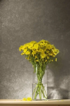 Обои Loymina Golden Library TDG 7, 008 в Барнауле