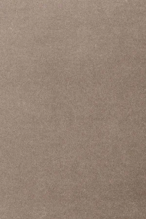 Ковровое покрытие AW Oinone 49 - (5м) в Барнауле