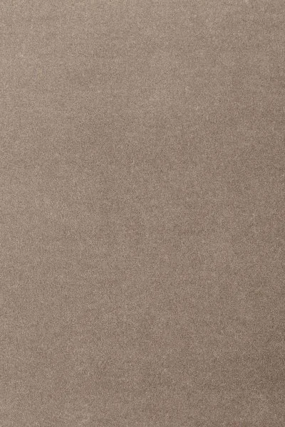 Ковровое покрытие AW Oinone 49 - (5м) в Барнауле