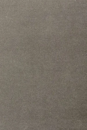 Ковровое покрытие AW Oinone 95 - (5м) в Барнауле