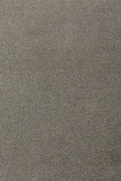 Ковровое покрытие AW Oinone 95 - (5м) в Барнауле