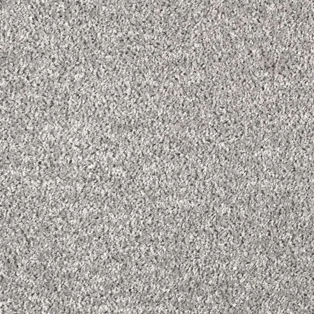 Ковровое покрытие AW Kiama 97 - (5м) в Барнауле