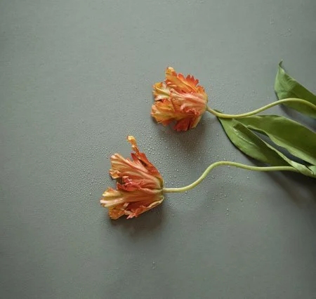 Обои Loymina Russian Classic Ru10, 006 в Барнауле