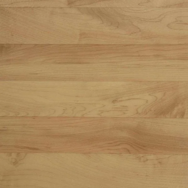 Спортивный линолеум Tarkett Omnisports Action 65 Cold Beech в Барнауле