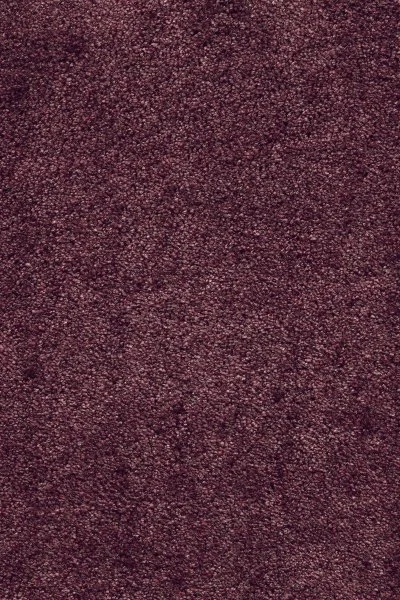 Ковровое покрытие AW Fedone 19 - (5м) в Барнауле