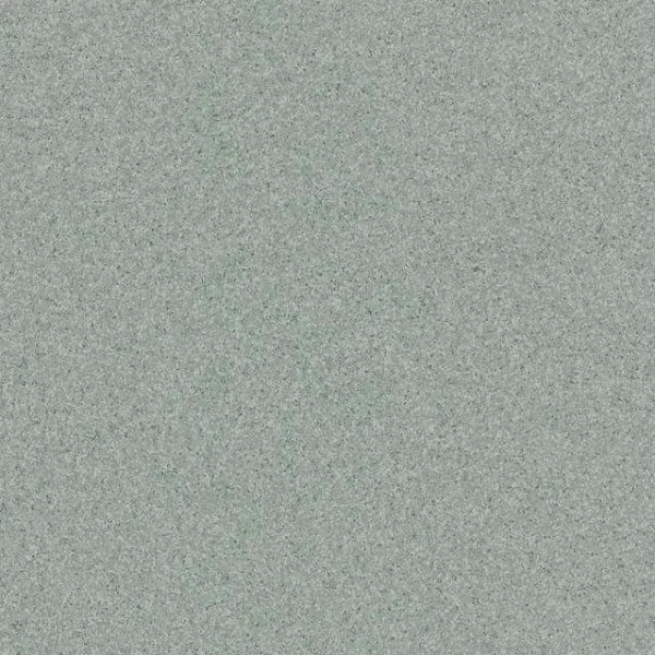 Линолеум Tarkett Primo Plus CPRPI-311 2 м в Барнауле