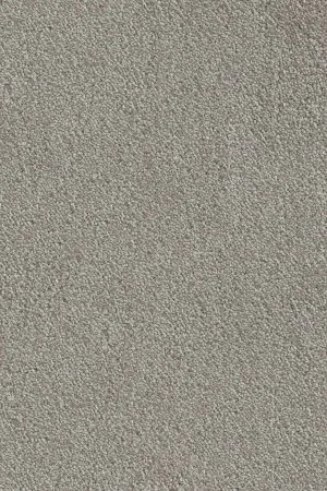 Ковровое покрытие AW Messalina 9 - (5м) в Барнауле