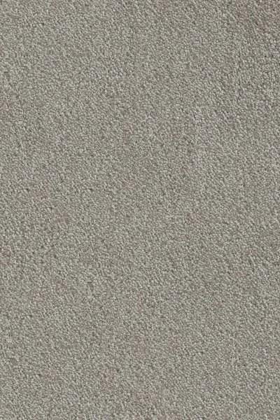 Ковровое покрытие AW Messalina 9 - (4м) в Барнауле