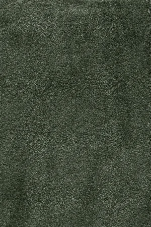 Ковровое покрытие AW Fedone 24 - (5м) в Барнауле