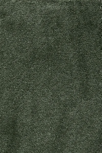 Ковровое покрытие AW Fedone 24 - (5м) в Барнауле