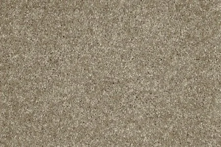 Ковровое покрытие AW Gala 33 - (5м) в Барнауле