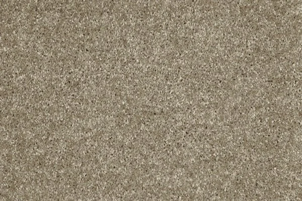 Ковровое покрытие AW Gala 33 - (4м) в Барнауле