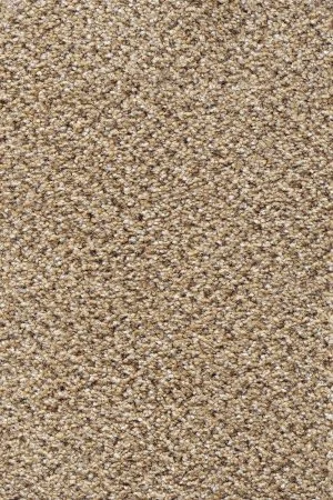 Ковровое покрытие AW Stainaway Tweed 50 - (4м) в Барнауле