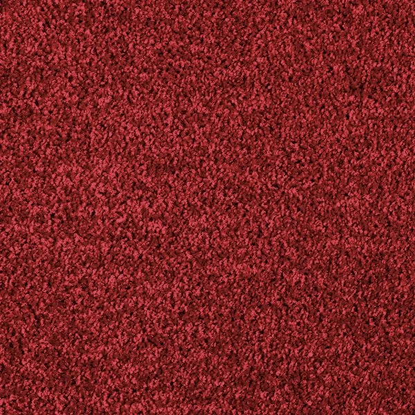 Ковровое покрытие AW Kiama 11 - (4м) в Барнауле