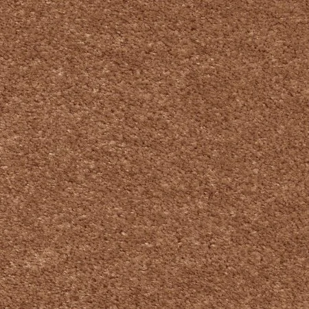 Ковровое покрытие AW Euphoria 84 - (5м) в Барнауле