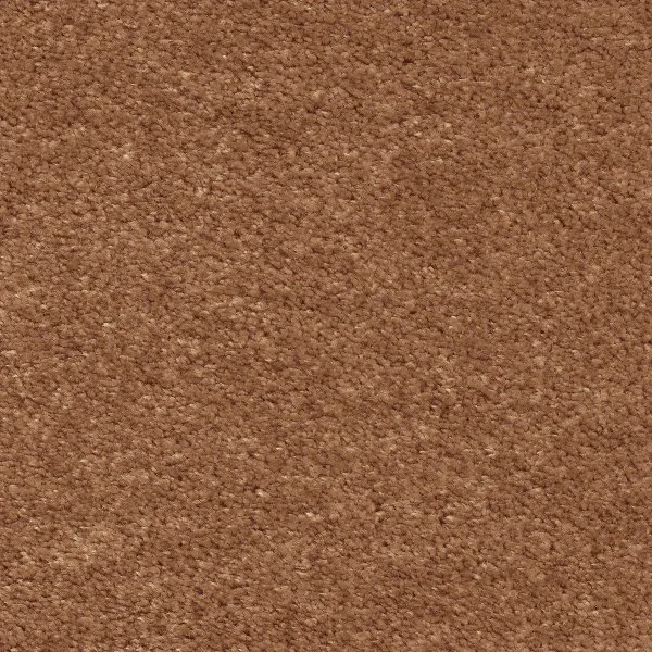 Ковровое покрытие AW Euphoria 84 - (5м) в Барнауле