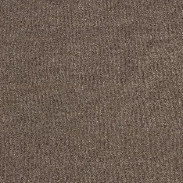 Ковровое покрытие AW Orseis 44 - (4м) в Барнауле