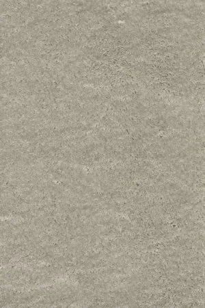 Ковровое покрытие AW Fedone 90 - (4м) в Барнауле