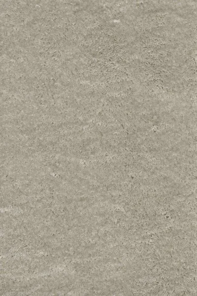 Ковровое покрытие AW Fedone 90 - (4м) в Барнауле