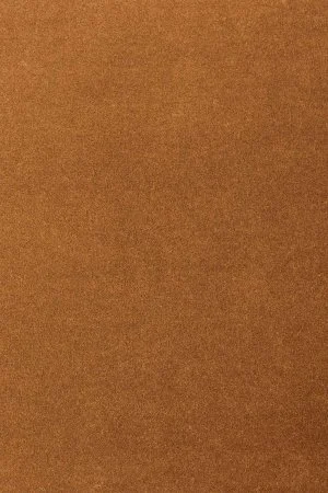 Ковровое покрытие AW Oinone 84 - (4м) в Барнауле