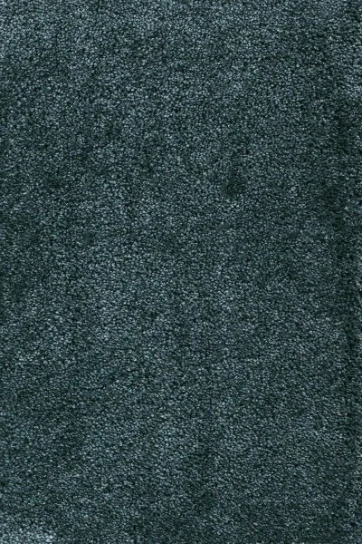 Ковровое покрытие AW Fedone 28 - (4м) в Барнауле