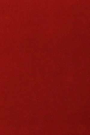 Ковровое покрытие AW Oinone 10 - (5м) в Барнауле