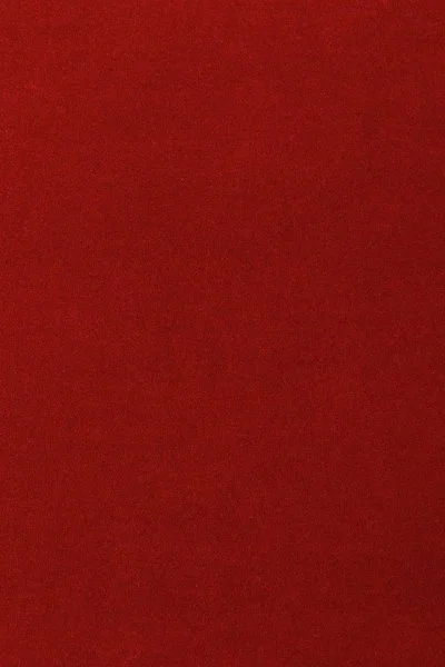 Ковровое покрытие AW Oinone 10 - (5м) в Барнауле