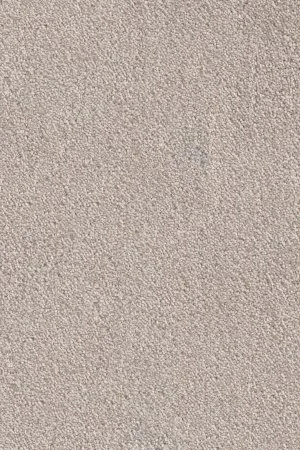 Ковровое покрытие AW Messalina 37 - (4м) в Барнауле