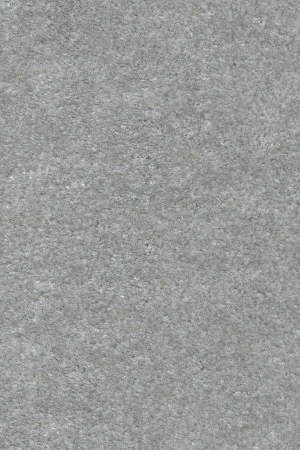 Ковровое покрытие AW Euphoria 75 - (5м) в Барнауле