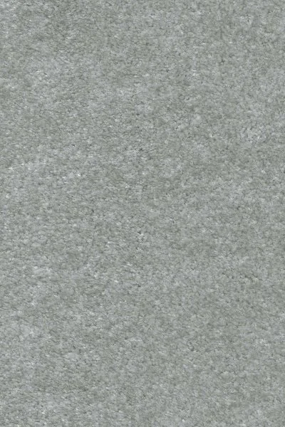 Ковровое покрытие AW Euphoria 75 - (5м) в Барнауле