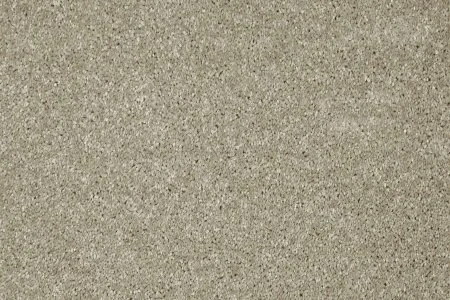 Ковровое покрытие AW Gala 03 - (5м) в Барнауле