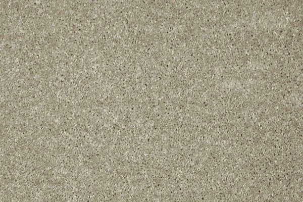 Ковровое покрытие AW Gala 03 - (4м) в Барнауле