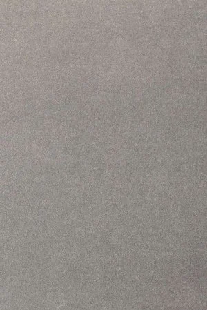 Ковровое покрытие AW Oinone 94 - (4м) в Барнауле