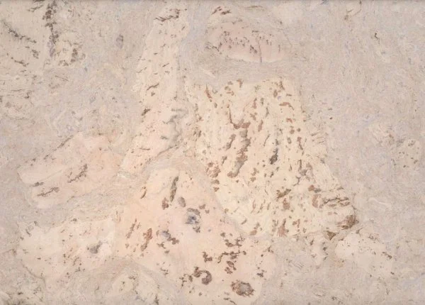 Настенное пробковое покрытие CorkArt PW 323 NW в Барнауле