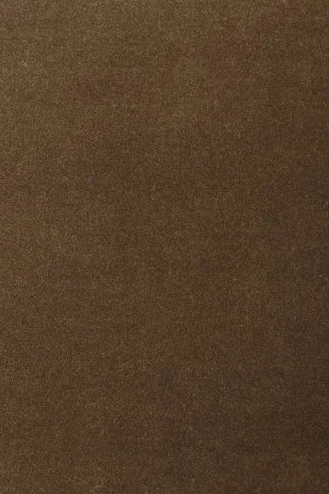 Ковровое покрытие AW Oinone 44 - (5м) в Барнауле