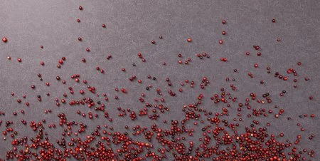 Обои Loymina Shade vol.2 SDR5, 022 в Барнауле