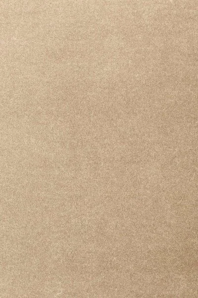 Ковровое покрытие AW Oinone 36 - (4м) в Барнауле