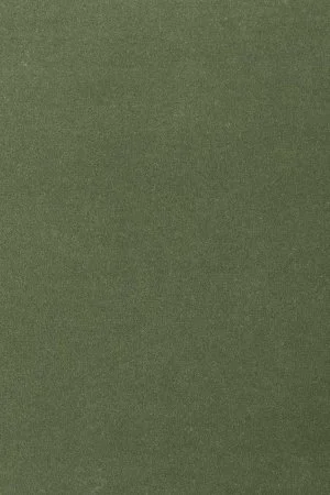 Ковровое покрытие AW Oinone 24 - (5м) в Барнауле