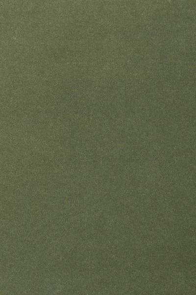 Ковровое покрытие AW Oinone 24 - (4м) в Барнауле