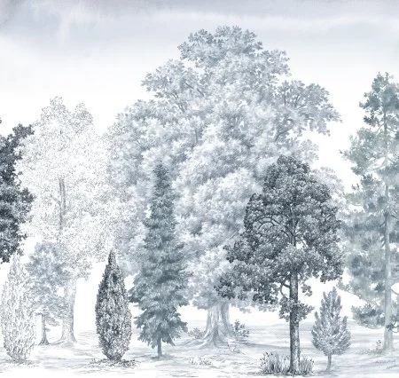 Обои Loymina Пейзаж vol. 2 ART14 006 в Барнауле