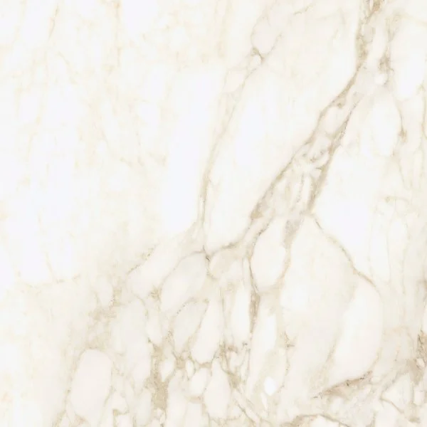 Керамогранит Coliseum Микеланджело Ворм 60х60 (Натуральный и Реттифицированный) в Барнауле