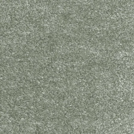 Ковровое покрытие AW Euphoria 28 - (5м) в Барнауле